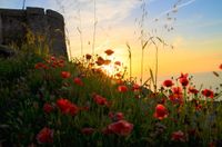 Castelsardo