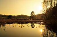 Zonsondergang Brunssummerheide